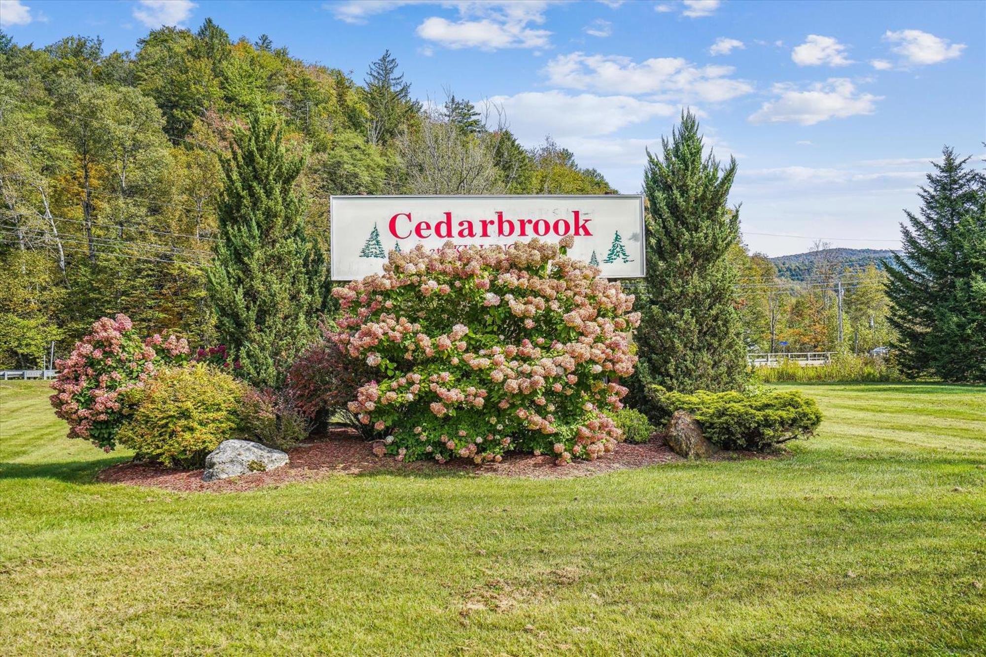Cedarbrook Queen Suite 108 Киллингтон Экстерьер фото